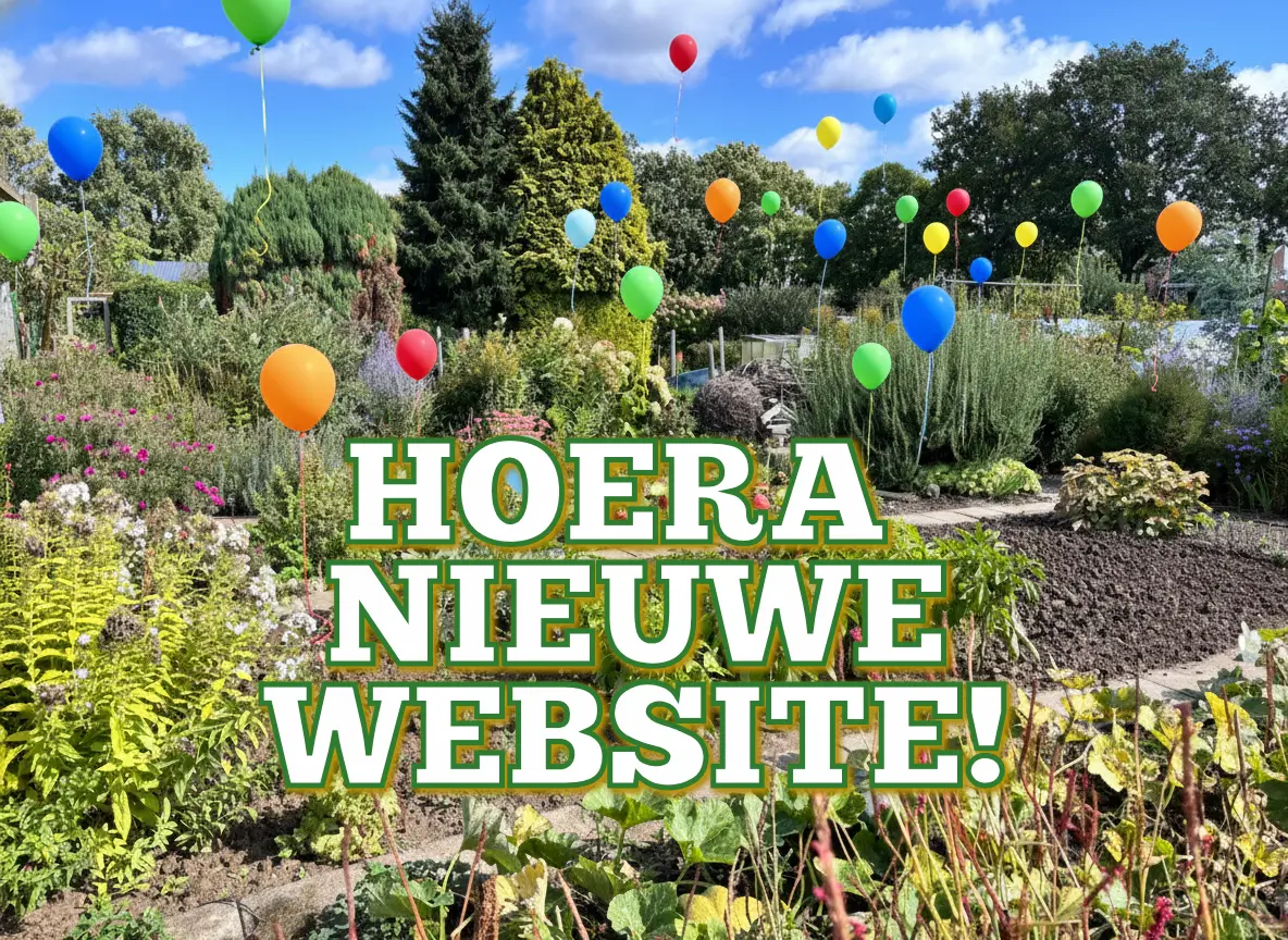 Hoera een nieuwe website!