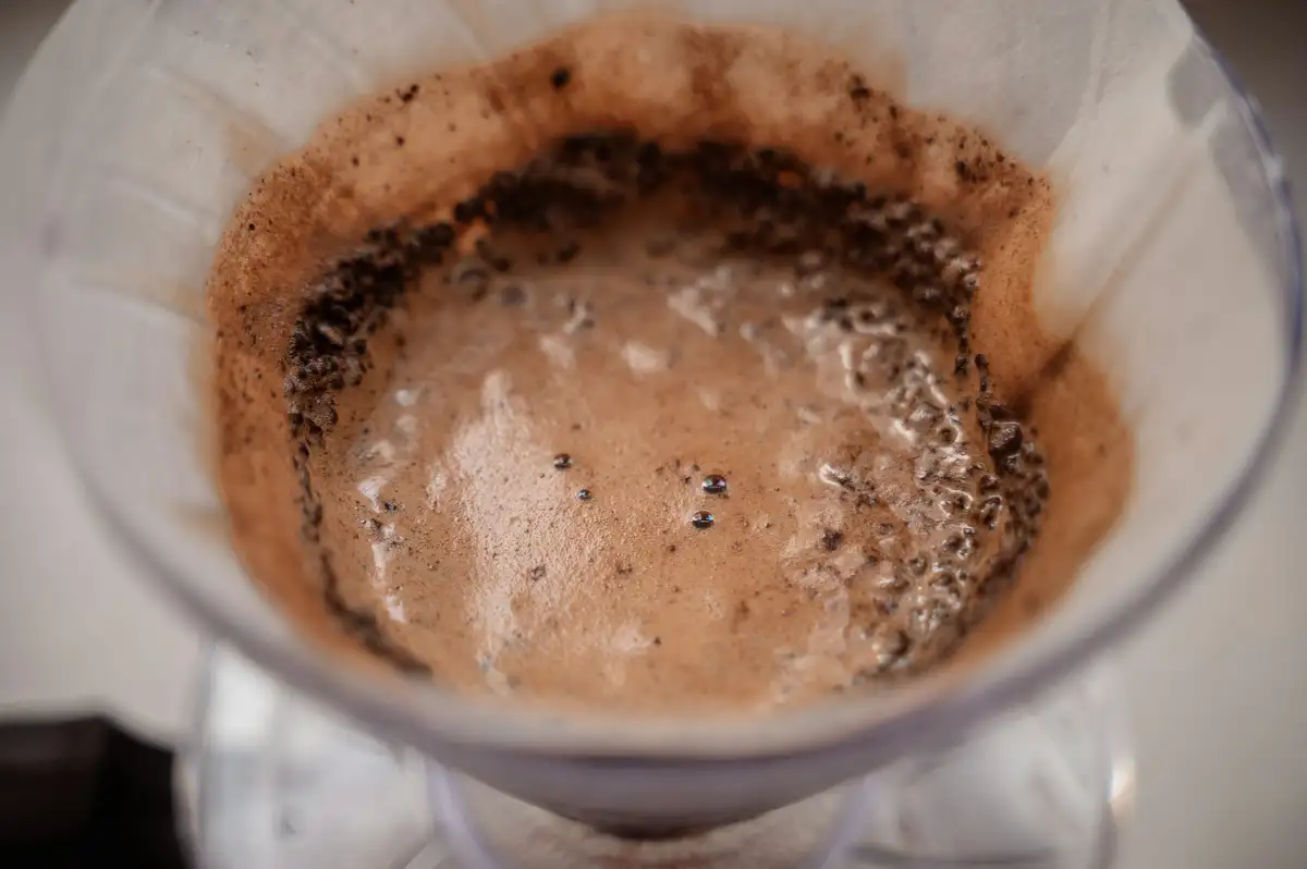 Koffiedik voor zuurminnende planten