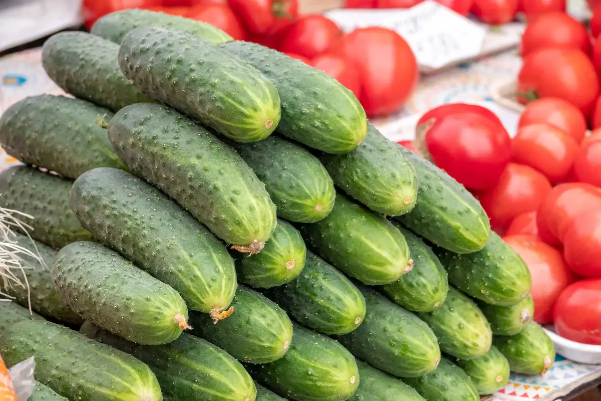 Natuurlijke plantenvoeding uit de keuken