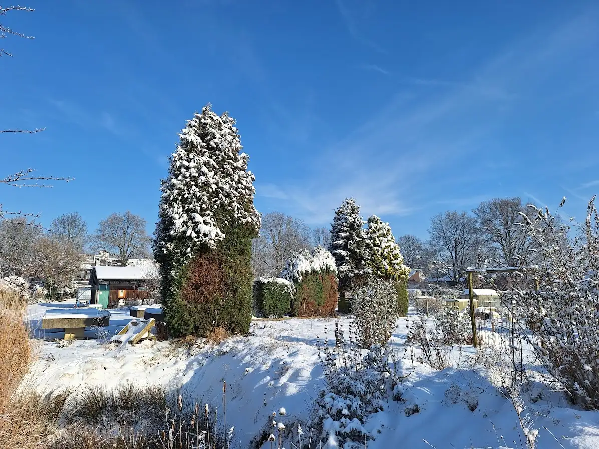 Winterland op de tuin