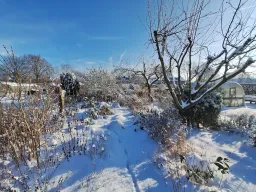 Winterland 06