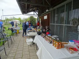 Voorjaarsmarkt 04