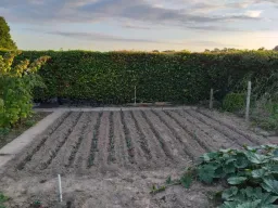 Preiveld