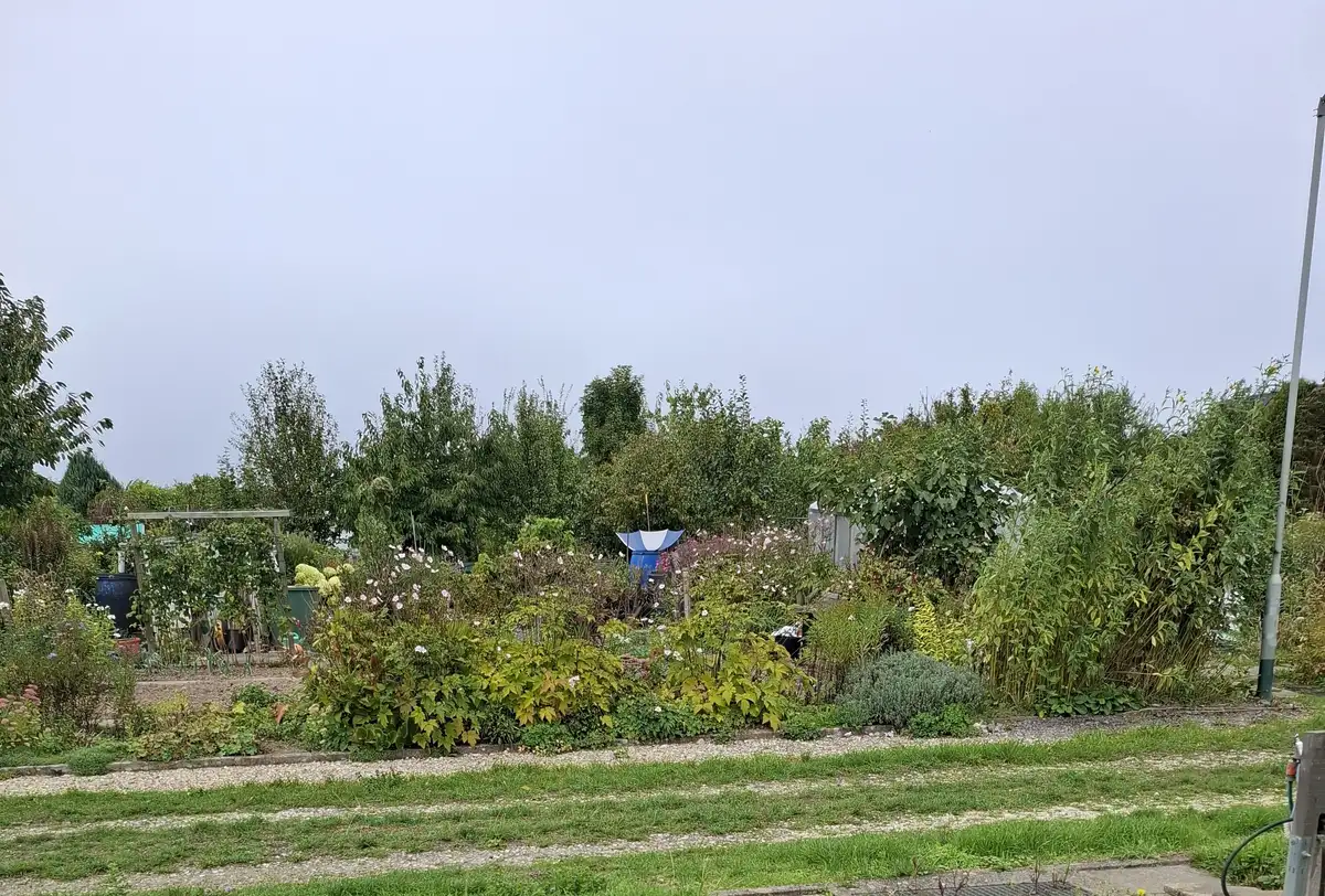 Aparte regenopvang