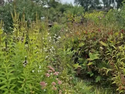 Bloemetjes